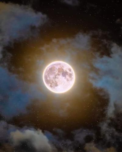 ,                                                                                                                                                                                                                          0 0