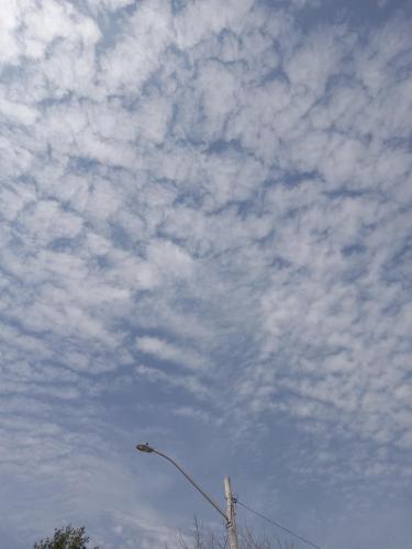 d3924b55-edb0-42a6-88bb-e2c0bb5f7fb0