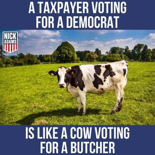 eddcd9b4-5ca3-4221-872d-4934cb0f6c7a
