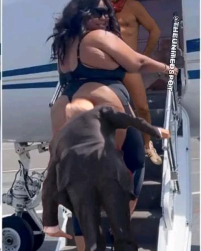 18:17:58 GMT-0400 (EDT)