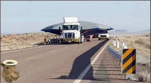 Screen Shot 2021-07-27 at 12.42.52 PM