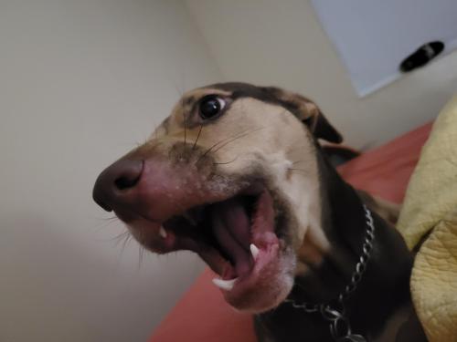 9cdbdc91-9996-430c-a15f-6fa024fd7542