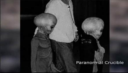 Screen Shot 2021-07-27 at 12.51.58 PM