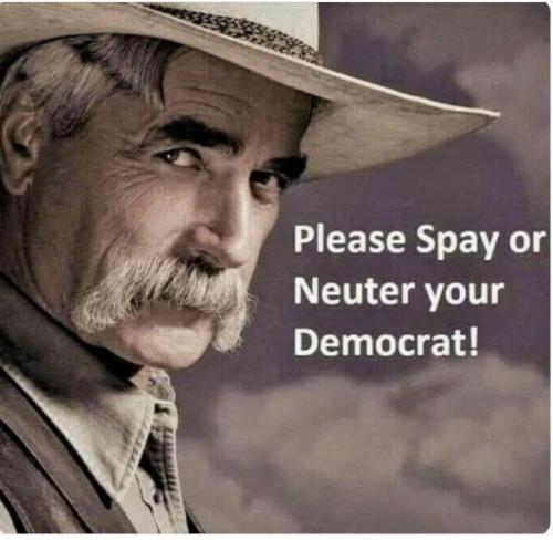 353fde85-9102-49eb-8e86-08e5c3b945b8