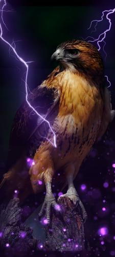 20:06:51 GMT-0500 (CDT)