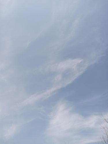 56284cb2-da35-448a-b094-98625158af42