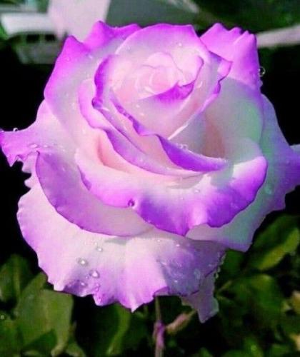 12:48:46 GMT-0500 (CDT)