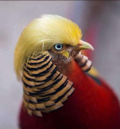 cccc3268-4b39-454f-b8d7-f860fae6e355