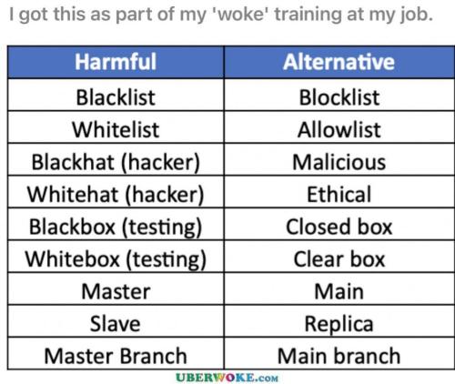woke-training