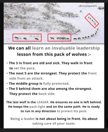 cca0d322-ff8e-45b4-92b0-711dc64f88a6