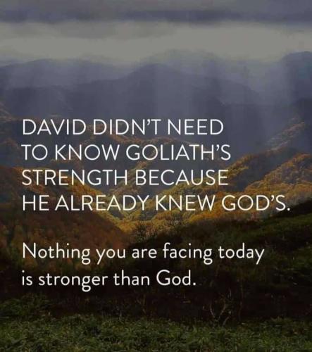 1a5523c4-f58b-4471-b982-93749a41e298