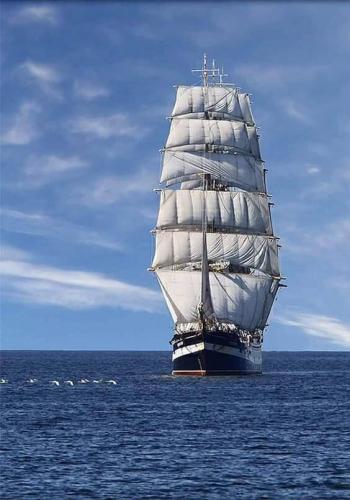 ccba003c-af17-4cc5-9e62-322396cec70e