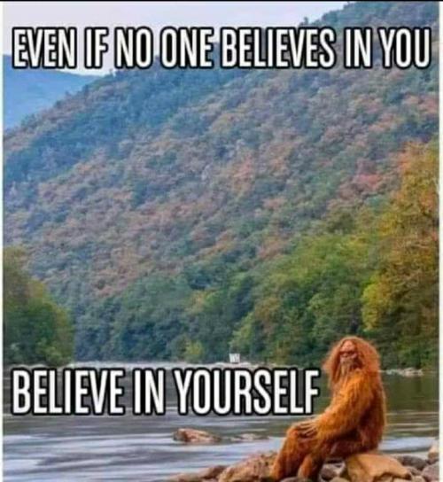 581f3e8a-137a-4313-98ae-efe8d062b3b8