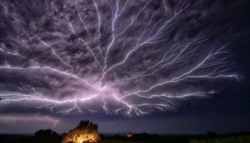 12:50:00 GMT-0500 (CDT)