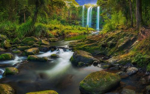 Whangarei Falls, North Island, New Zealand