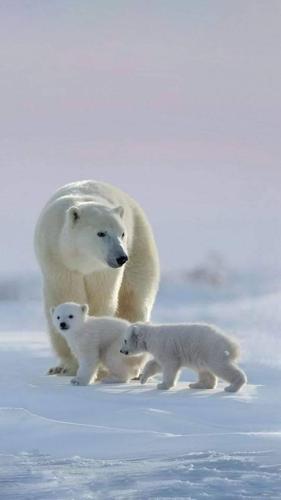 tumblr_5a1d1315ed04fedfbfec39a147d10ceb_df5ee94b_640