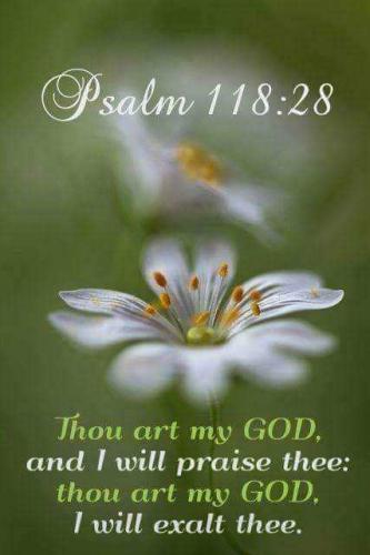 5c61e182-da44-48b1-a4db-7a35e6caa63c