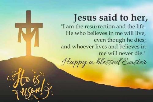 ef928201-766d-43eb-a0b4-164dcd49f100