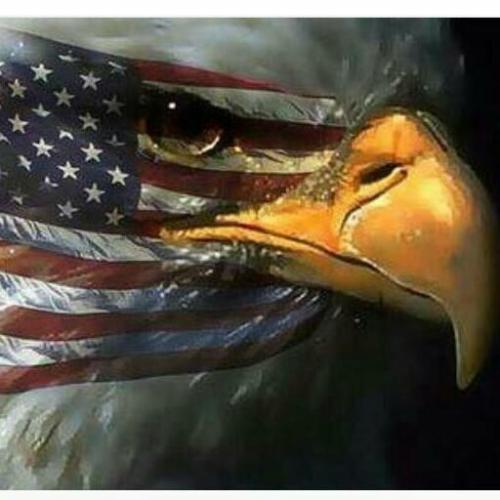 7b785820-a1c1-424d-99bd-971362944108