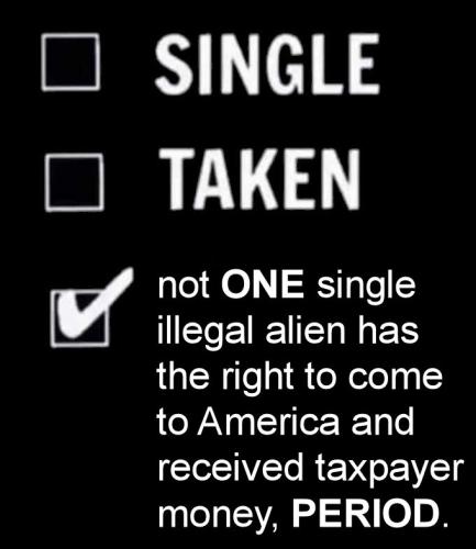 illegal immigration280