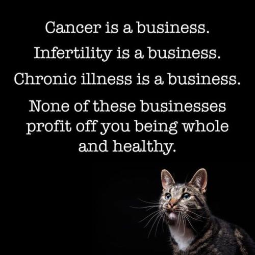 Your Sickness is Big Business