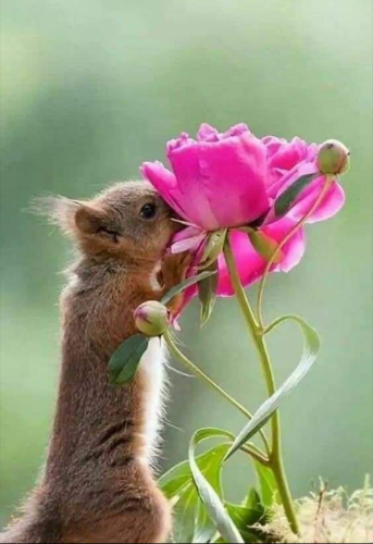 Screenshot_2022-04-18-01-12-03_kindlephoto-686379