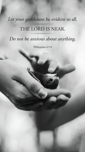 4799e883-4a6d-462c-b0b5-fa9521d878b4