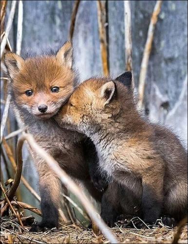 tumblr_pq23knPR6G1rg59vvo1_540