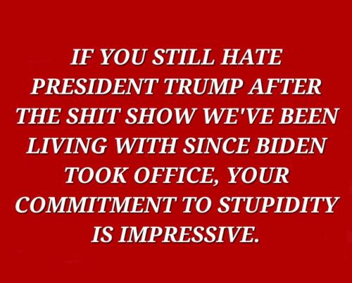 1E35FBB8-F227-4A8D-8C9F-DB9290E1E139