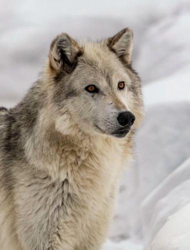 748ffff26c91300cd2c3601983f23cdc