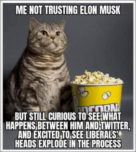 elon musk03
