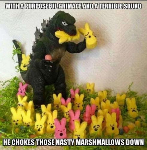 446b12c7-709b-412a-a890-5828f77ef048