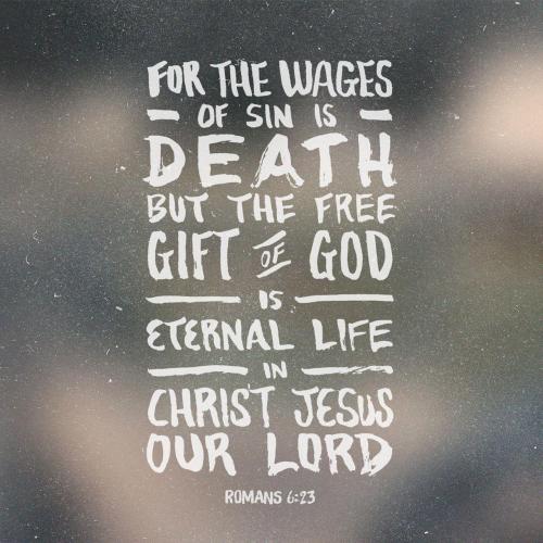 e6dffb2b-a8d4-495d-8ccf-22a9e7bfddda