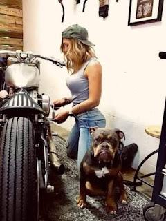 1466d6e9-ee35-4674-81c6-49a27f0e5d88