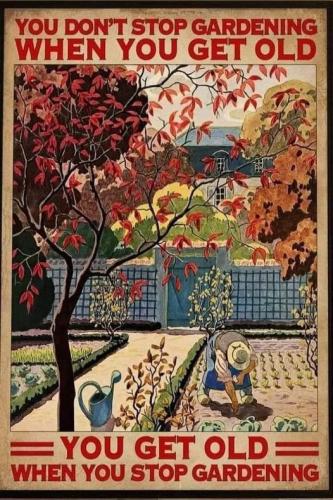 277742114_5007476929346364_4143628815595265233_n