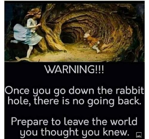 c0c885c7-2808-40f8-8381-e8e1bd53f71e