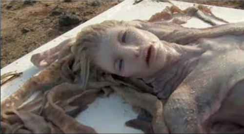 Screen Shot 2021-07-27 at 12.56.11 PM