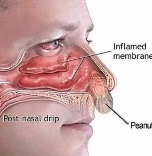 ECD74732-9AE2-4DF5-AD57-F3CDA9D686B1