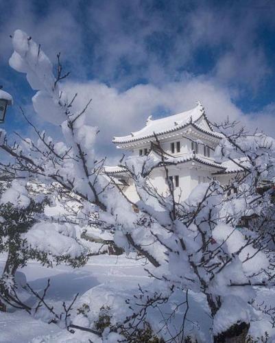 277560011_518171779678829_415399628883917345_n