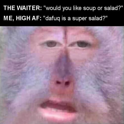 would you like soup or salad