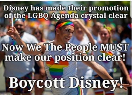 boycot. disney me jpg