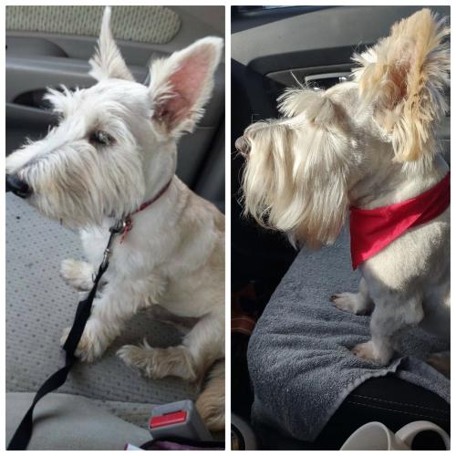 17:33:09 GMT-0500 (CDT)