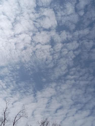 9a726613-2bd1-4580-8ead-c4ea648f6856