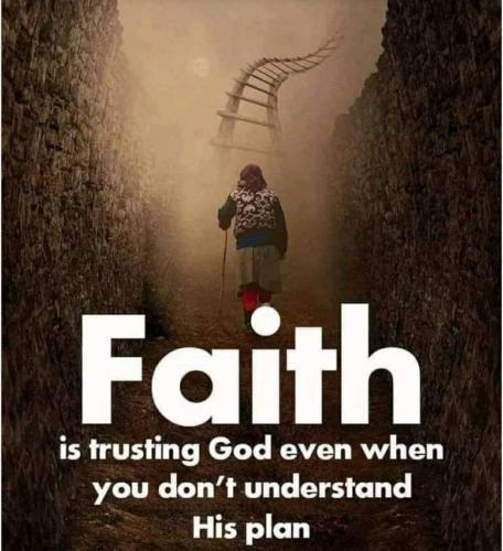 29fad21c-4260-4c0f-b5d8-ae65bfef8c3d