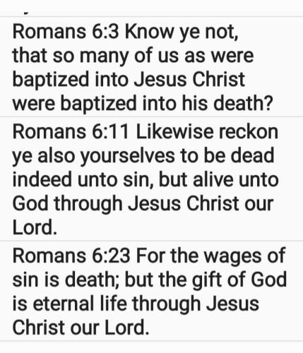 7ecae61a-98ca-4ed2-acbe-7eb3cb045cd6