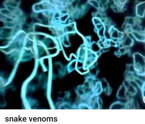 63840372-5570-4059-95d1-1cea613ec72a