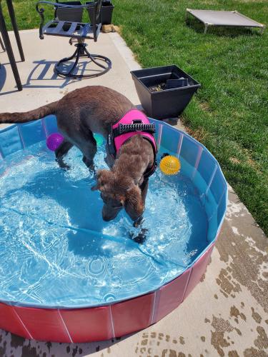 60863139-afb5-48a0-9423-5c421a4fe9e1