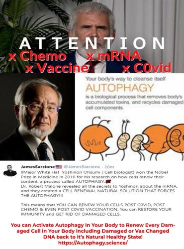 Autophagy and mRNA Vax Detox
