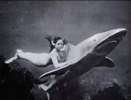 Screen Shot 2021-07-27 at 12.46.01 PM