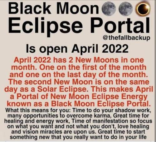 bf271b66-7cb7-4307-97a8-a651cc6be052